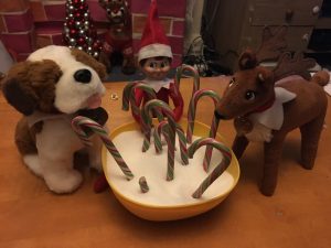 elf on the shelf with magic beans turned to candy canes